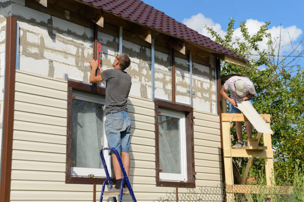 Best Stone Veneer Siding  in Albers, IL