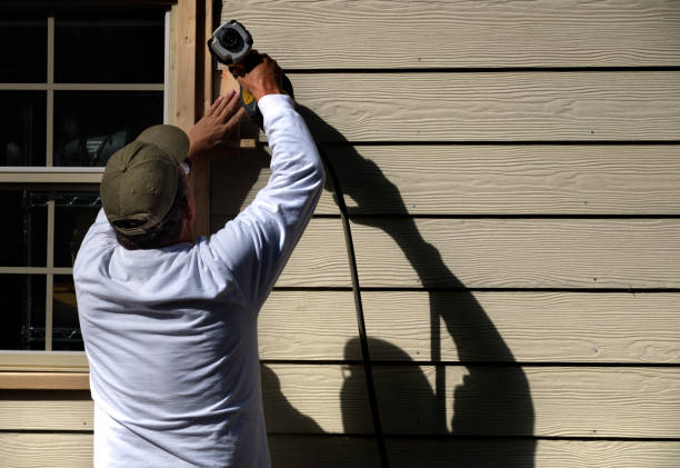 Best Wood Siding Installation  in Albers, IL